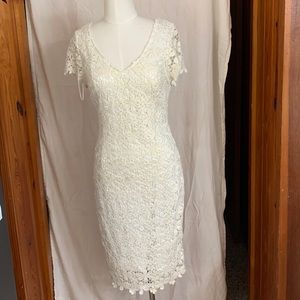 Cache Woven Dress with Silk Liner